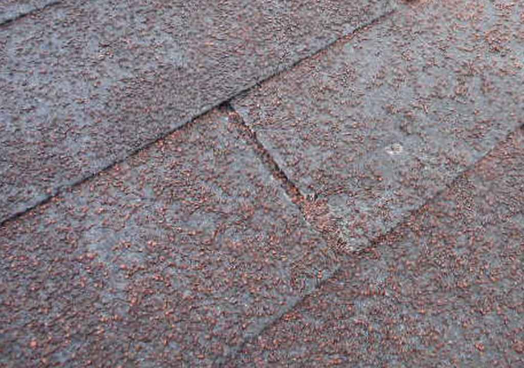 shingle granular loss Houston, TX